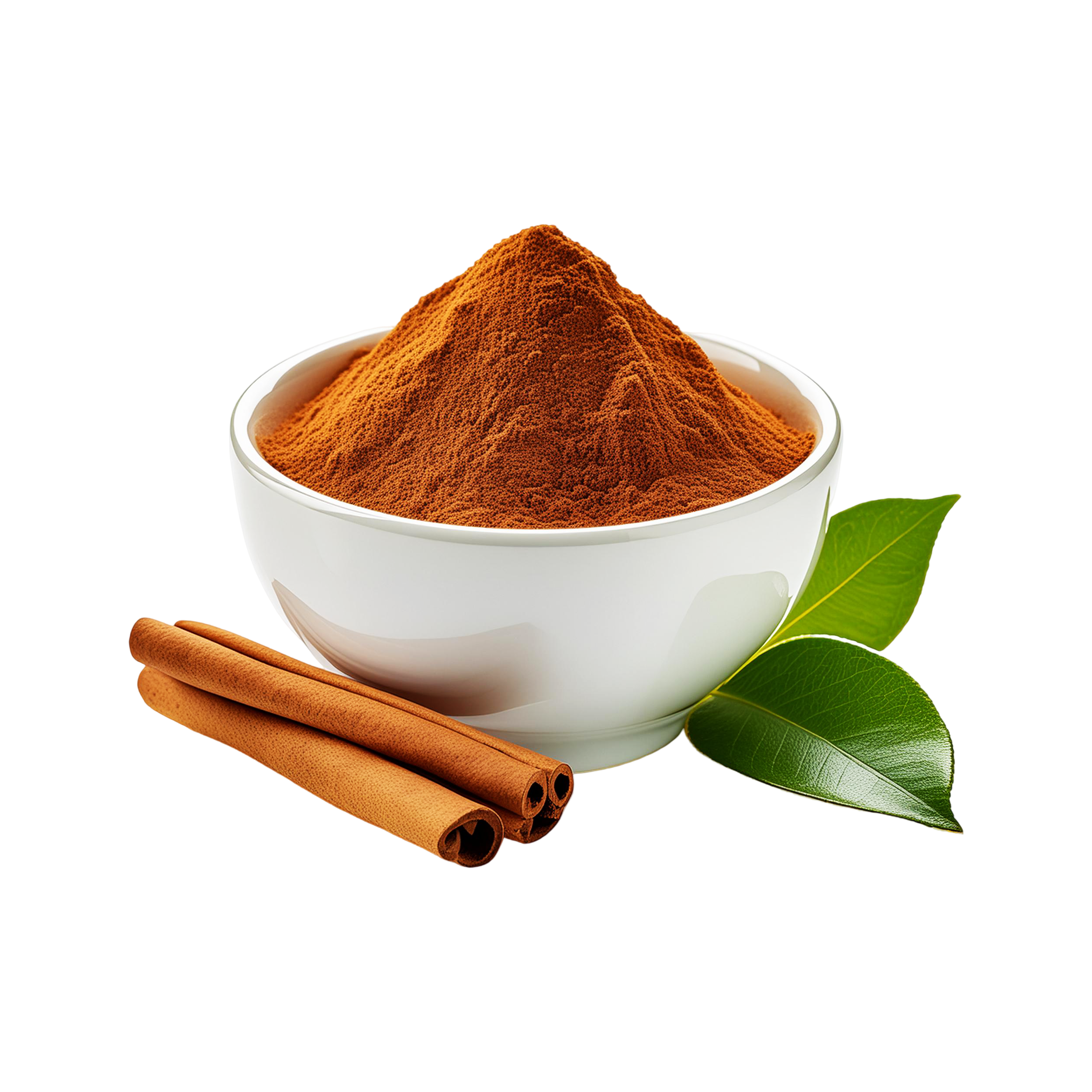 Cinnamon Powder